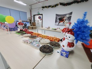 “多國(guó)風采、别具風格”的(de)的(de)聖誕節活動